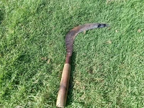 Central Java, Indonesia August 17, 2924: A sickle, an agricultural tool Foto stock