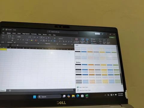 Central Java, Indonesia, August 4, 2026: Microsoft Excel software displayed 写真素材