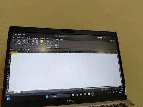 Central Java, Indonesia, August 4, 2026: Microsoft Excel software displayed 写真素材