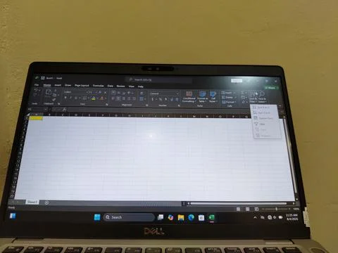 Central Java, Indonesia, August 4, 2026: Microsoft Excel software displayed 写真素材