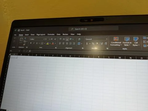 Central Java, Indonesia, August 4, 2026: Microsoft Excel software displayed 写真素材