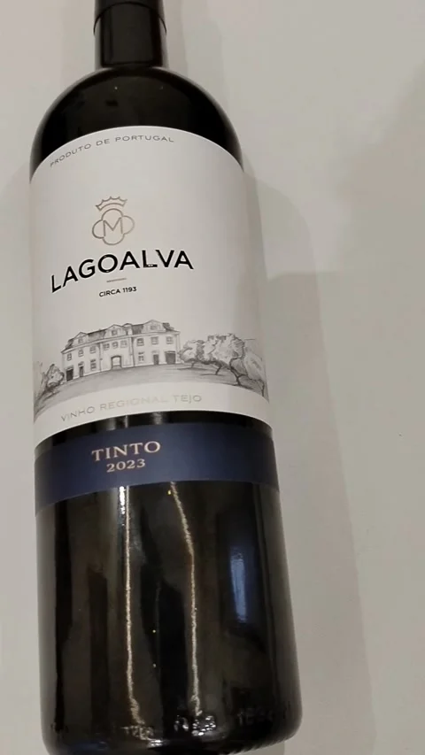 Central Java Indonesia August 6 2026: A bottle of Lagoalva Tinto 2023, a regiona Video stock 343549399