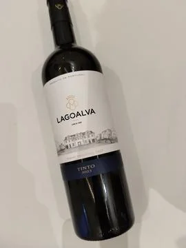 Central Java Indonesia August 6 2026: A bottle of Lagoalva Tinto 2023, a regiona Stock Photos