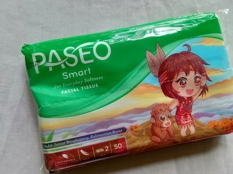 Central Java Indonesia December 11, 2022: Paseo wipes Foto stock