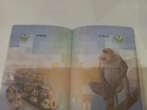 Central Java, Indonesia, December 5, 2025: Indonesian Passport Фото