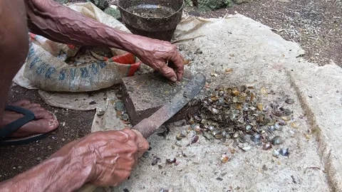 Central Java Indonesia June 22, 2025: a person who breaks snail shells, for duck Stock Footage 312464990