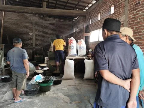 CENTRAL JAVA, INDONESIA - MAY 31, 2026: Local farmers and workers processing gra Stock Photos