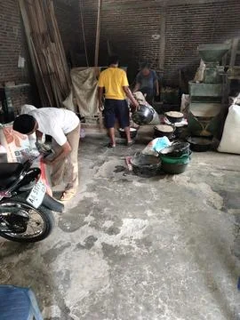 CENTRAL JAVA, INDONESIA - MAY 31, 2026: Local farmers and workers processing gra Stock Photos