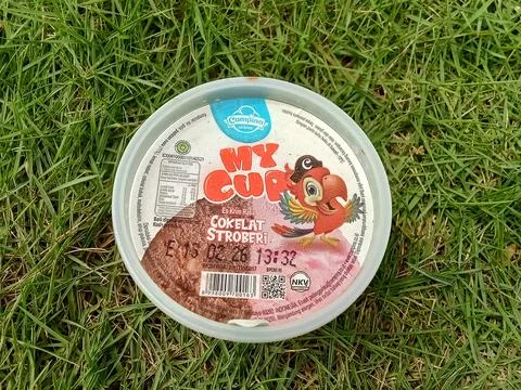 Central Java Indonesia May 6 2024: my cup Campina ice cream, on grass background Фото