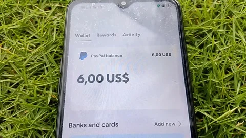 Central Java Indonesia November 27, 2025: Balance in the PayPal application. Stock Footage 324030445