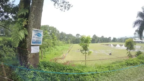 Central Java, Indonesia - October 15, 2016:View from the window of the moving Stock Footage 79575848
