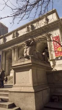 Central library Stock Photos