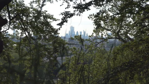 Central London visible through slits in the tree branches. Video stock 108751510