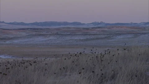 Central Montana Video stock 137880029