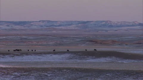Central Montana Stock Footage 137880526