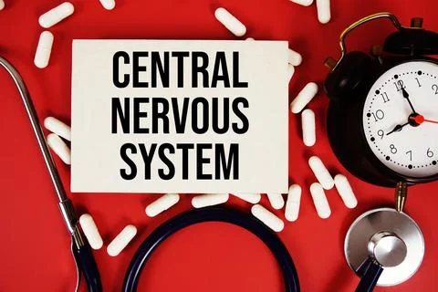 Central Nervous System text written on paper card with stethoscope and alar.. Stock Photos