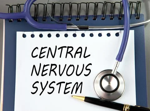 CENTRAL NERVOUS SYSTEM is a word on a white sheet against a stethoscope. Stock Photos