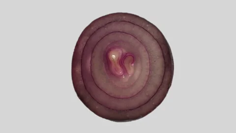 Central Onion Slice Rotating on White Background in 60p Stock Footage 337014394