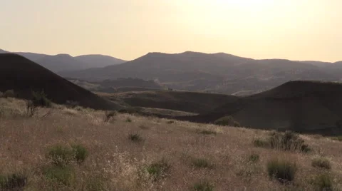 Central Oregon Grasses 2 動画素材 62574304