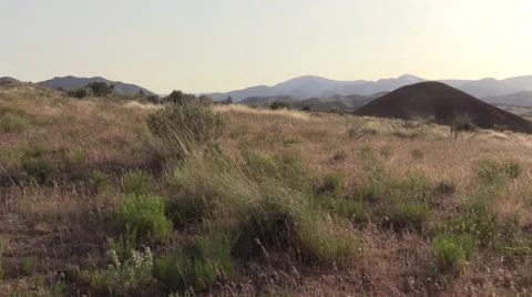 Central Oregon Grasses 動画素材 62575444