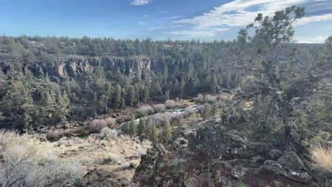 Central Oregon: River flows between cliffs and forest Video stock 329449222
