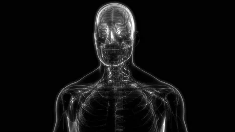 Central Organ of Human Nervous System Brain Anatomy Animation Concept Vídeos de archivo 142243978