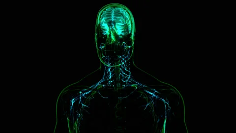 Central organ of Human Nervous System Brain Anatomy Animation Concept Vidéo 161052719