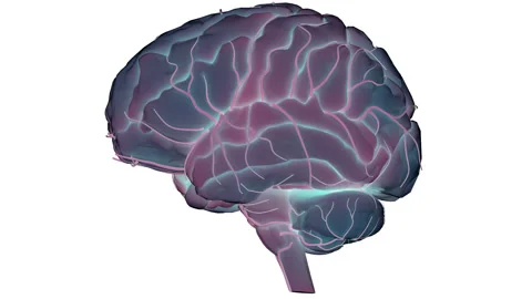Central Organ of Human Nervous System Brain Anatomy Animation Concept Stock Footage 200932804