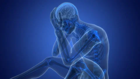 Central Organ of Human Nervous System Brain Anatomy Stock Footage 250443335
