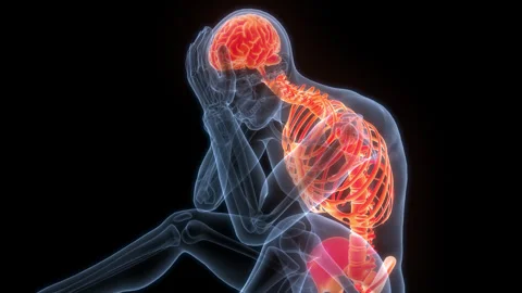 Central Organ of Human Nervous System Brain Anatomy Animation Concept Stock-Footage 266526992