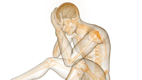 Central Organ of Human Nervous System Brain Anatomy Animation Concept 스톡 동영상 281262539