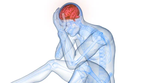 Central Organ of Human Nervous System Brain Anatomy Animation Concept 스톡 동영상 286007350