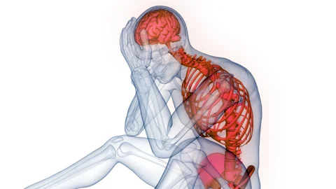 Central Organ of Human Nervous System Brain Anatomy Animation Concept 스톡 동영상 286007565