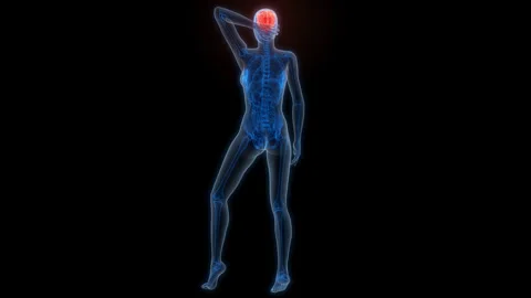 Central Organ of Human Nervous System Brain Anatomy Animation Concept Stock Footage 286008364