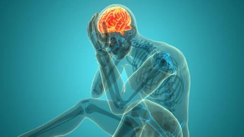 Central Organ of Human Nervous System Brain Anatomy Animation Concept 스톡 동영상 286012793