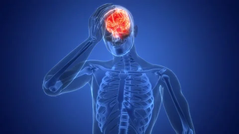 Central Organ of Human Nervous System Brain Anatomy Animation Concept 스톡 동영상 286013486