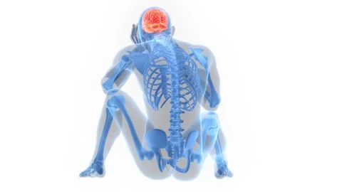 Central Organ of Human Nervous System Brain Anatomy Animation Concept 스톡 동영상 286013832