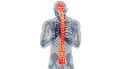 Central Organ of Human Nervous System Brain Anatomy Animation Concept 스톡 동영상 286014475