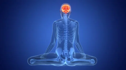 Central Organ of Human Nervous System Brain Anatomy Animation Concept Stock Footage 342297586