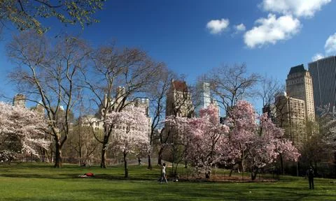 Central Park (1) Stock Photos