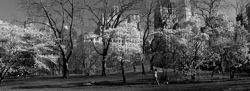 Central Park (2) Stock Photos