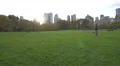 Central Park in 4K New York City 4k or 4k+ Resolution