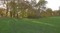 Central Park in 4K in a sunny afternoon New York City 4k or 4k+ Resolution