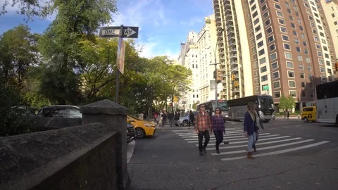 Central Park 5th AVE 動画素材 85366943