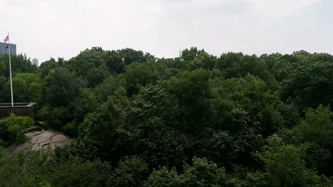 Central Park aerial rising over trees to skyscrapers in NYC New York City Stock Footage
