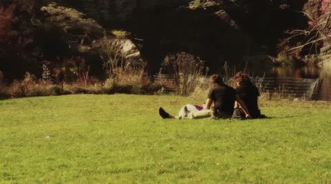 Central Park Afternoon Stock Footage 12139558