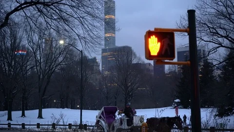 Central Park and New York Skyscrapers Stock Footage