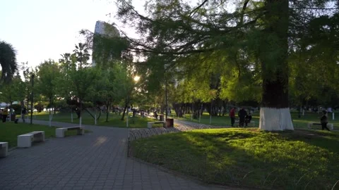 Central park in Batumi Video stock 194532378
