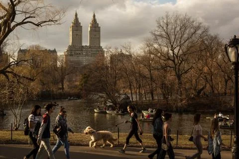 Central Park on a beautiful Spring day Stock Photos