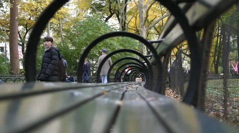 Central Park Bench II HD Stock Footage 752964